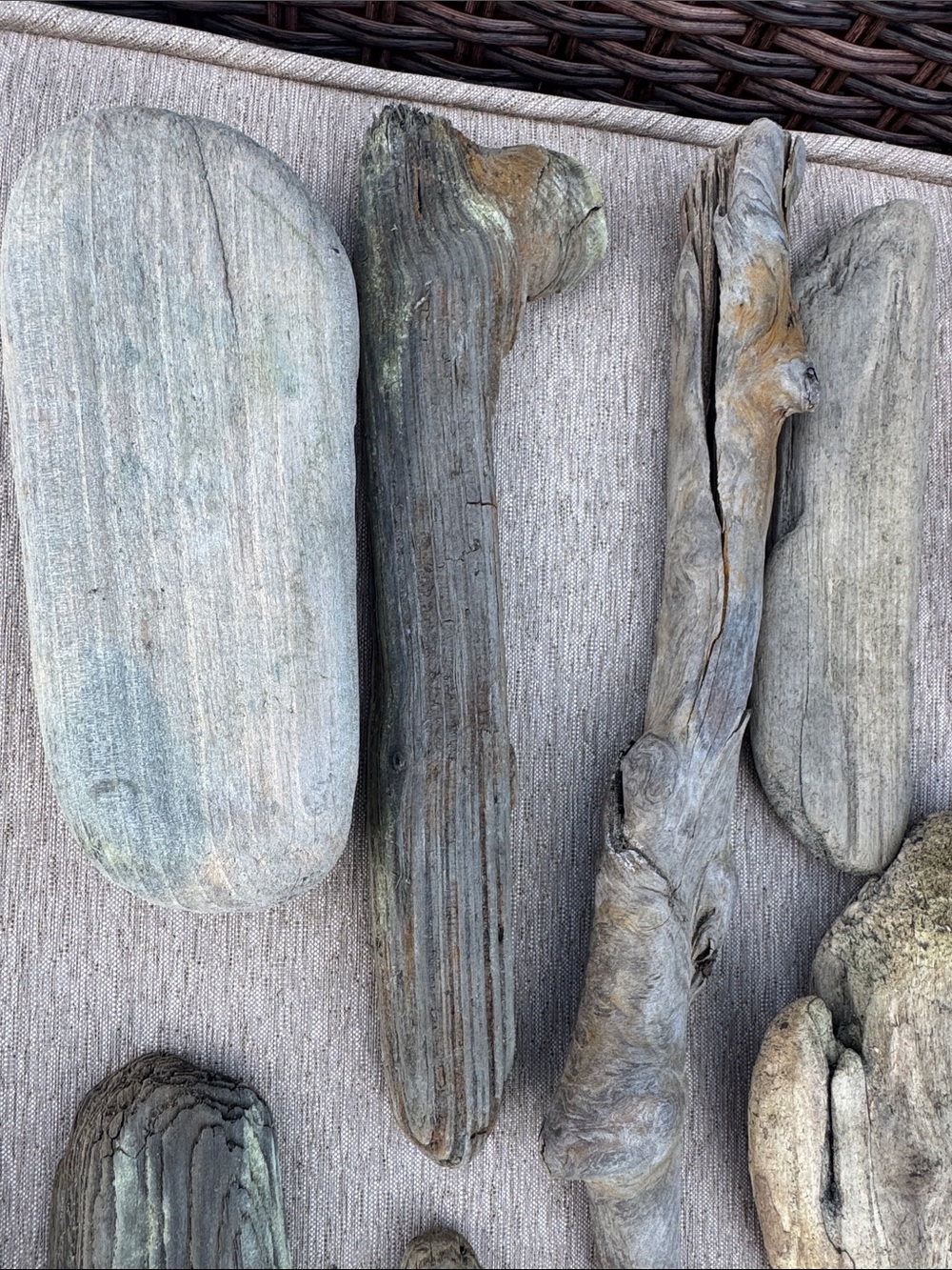 20 Pacific Beach Natural Driftwood Collection - Assorted Beach Wood Pieces - Picture 6 of 10